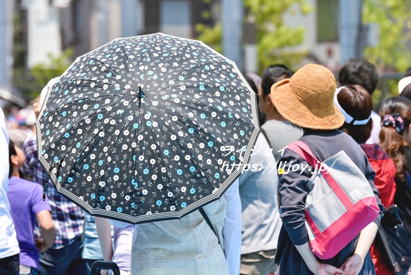 日傘のデザイン